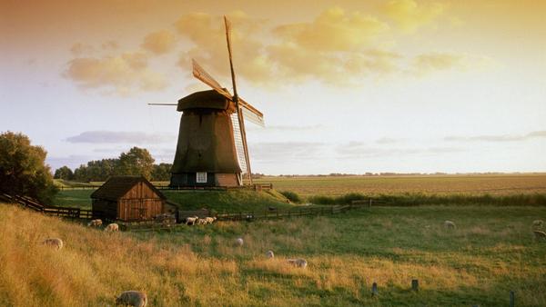 Dutch