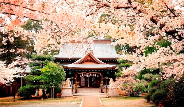 Japan12