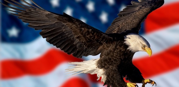 USA-eagle