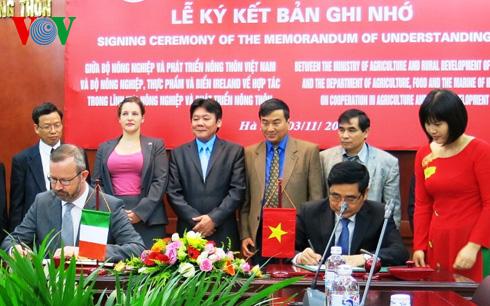 4-11-2014-VN-Ireland