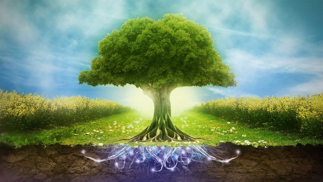 Enviroment1