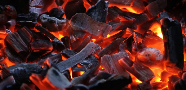 Coal