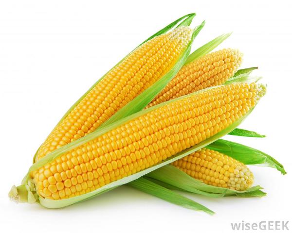 Corn2