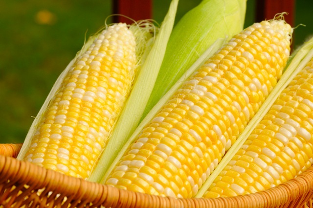 Corn3