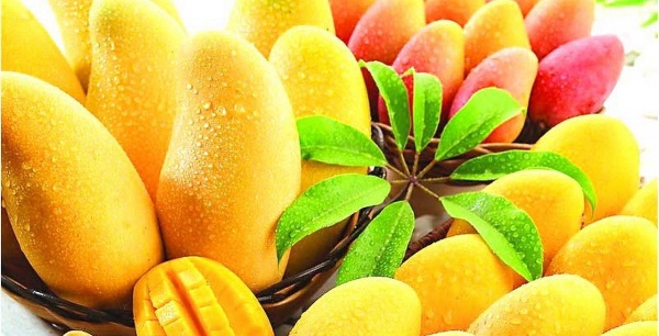 Mango