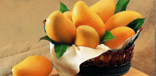 Mango1