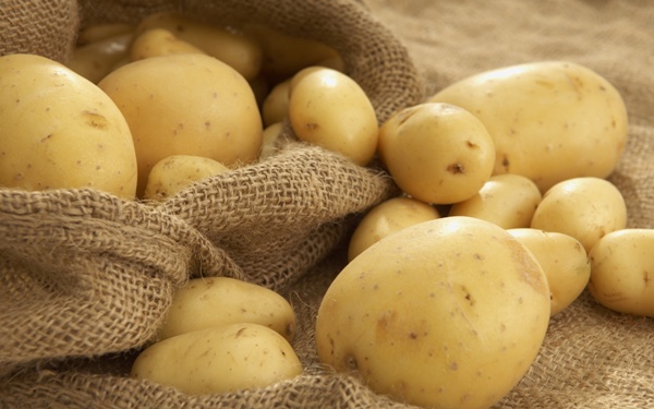 potato