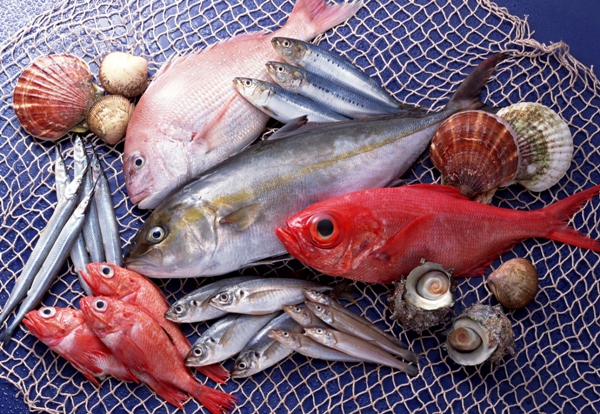 seafood11