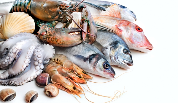 seafood12