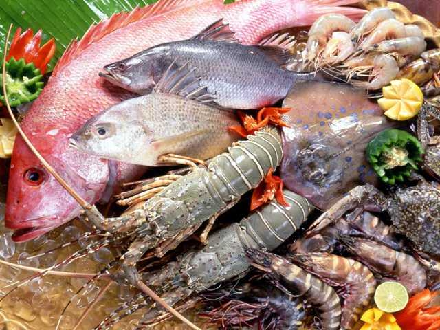 seafood4