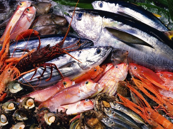 seafood7