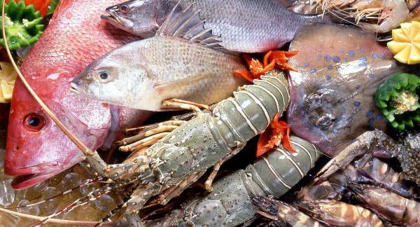 seafood8
