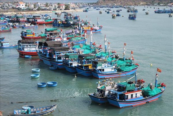 47357 khaithac haisan ttxvn