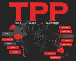 11-TPP