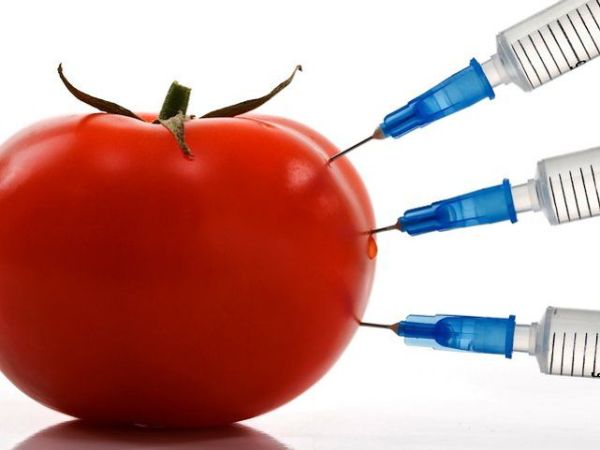 gmo-1