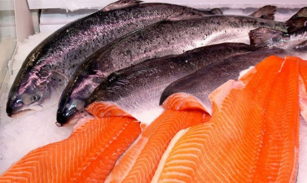 seafood