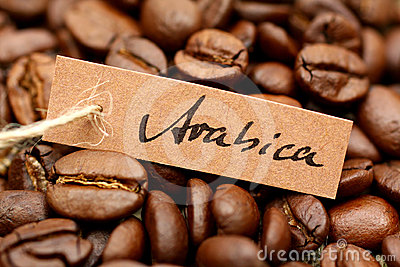 cf-arabica
