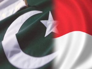 indo-pakistan