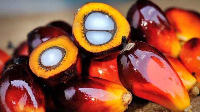 palm oil 30 KQFN