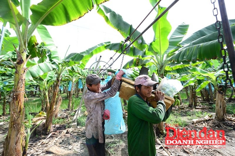 sua luat thue thu nhap doanh nghiep 24.5.1.1.2