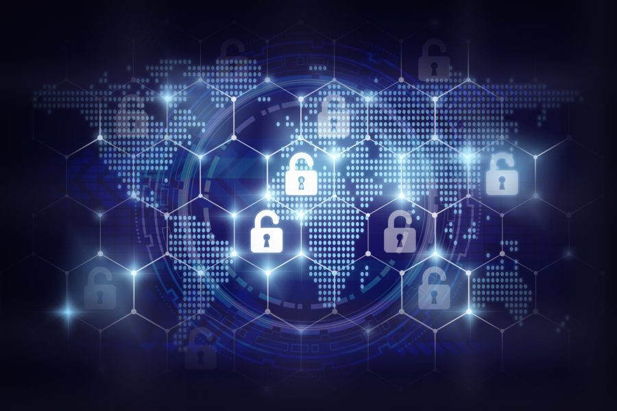 6 nhung 12.08.2024