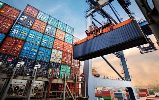 11 nhung 13.12.2024