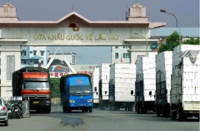 vn tq