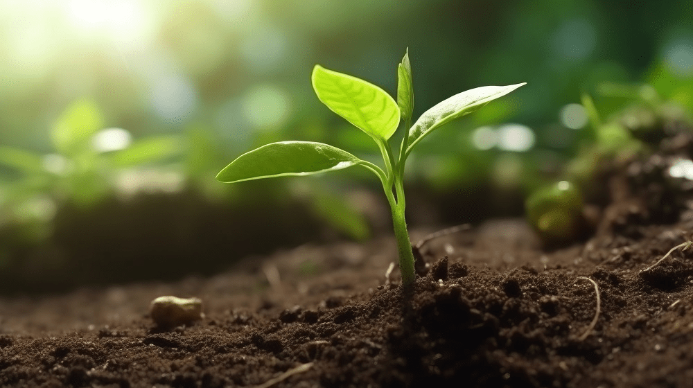 i0.wp.com epthinktank.eu wp content uploads 2024 01 eprs briefing 757627 soil monitoring resilience directive final