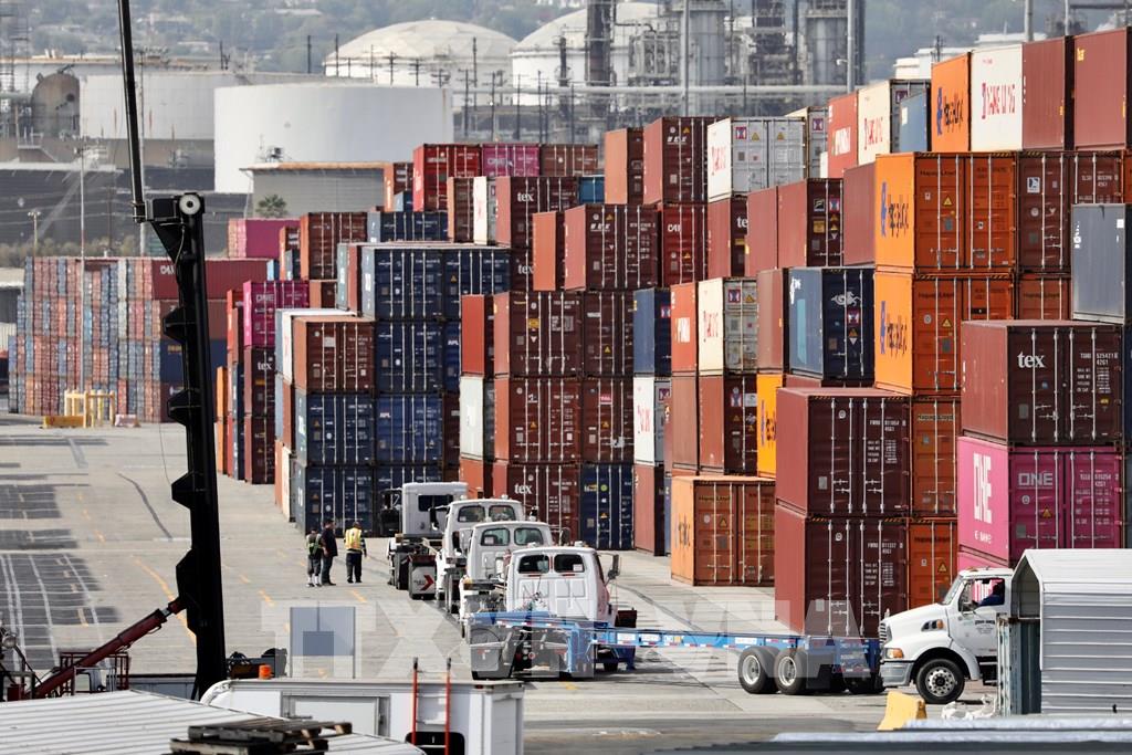 180541 wto du bao tang truong thuong mai toan cau giam toc vao cuoi nam 2025