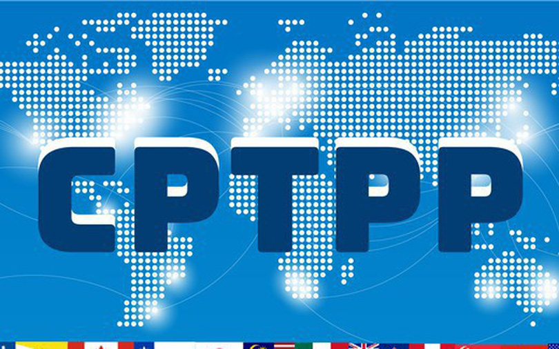 CPTPP 25425 5