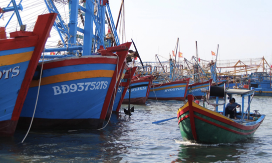 cang ca 120231005110211