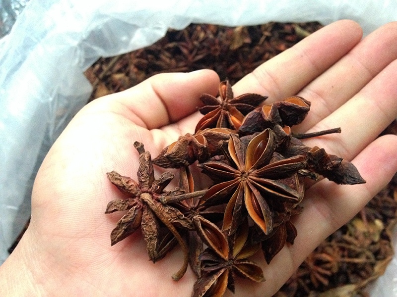 hoa hoi20230930101348