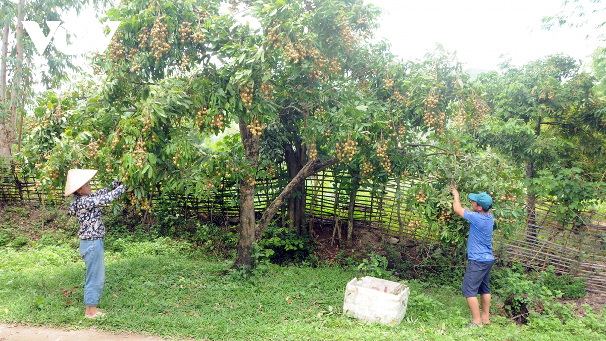 nhan sang EU
