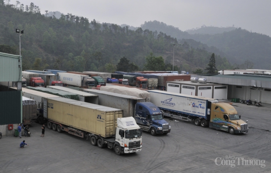 nong san sang TQ