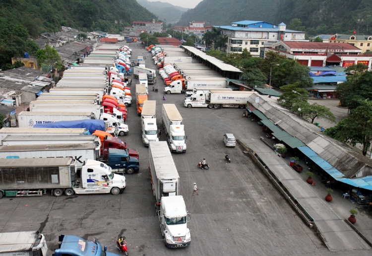 xttm quang dong tq
