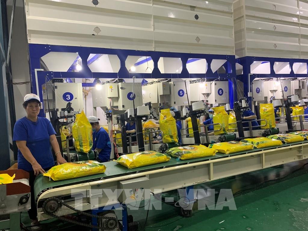 165255 can tho dong lo gao dau tien xuat khau vao lien minh chau au voi thue suat 0 