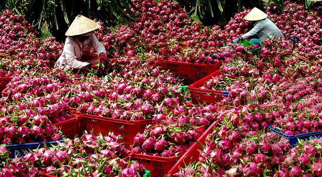 nong san sang tq