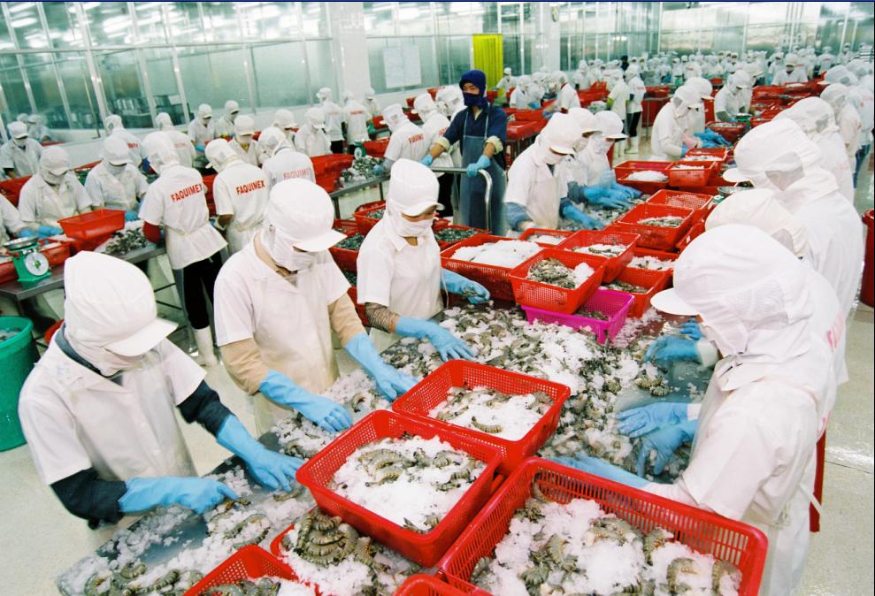 seafood export
