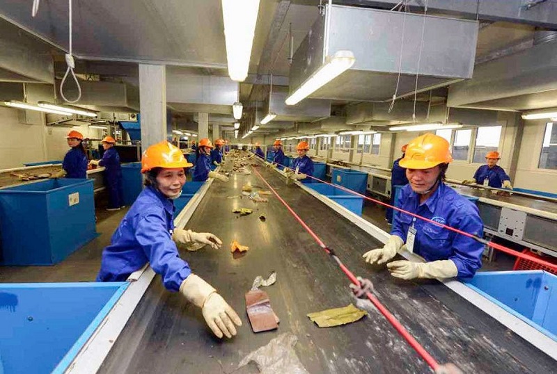 du thao nghi dinh luat bao ve moi truong 6.1