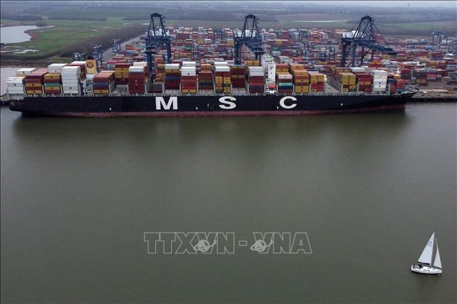 vna potal anh nhan vien cang container lon nhat nuoc tham gia lan song dinh cong stand 20241224091710