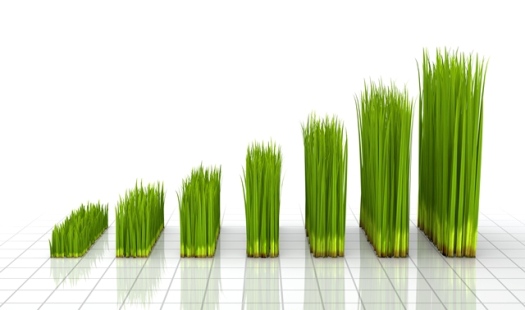 Growth-1