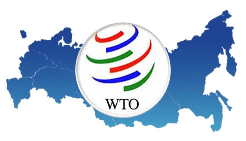 WTO-7