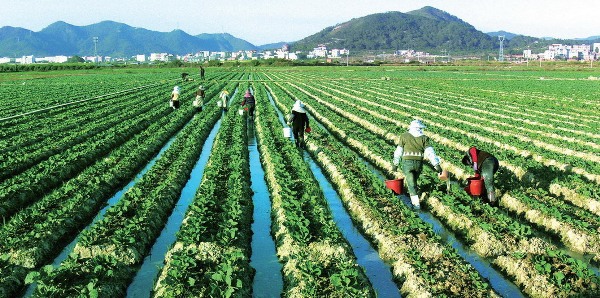 agri