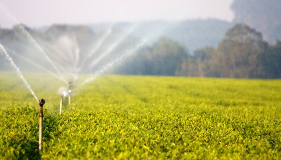 agriculture-14