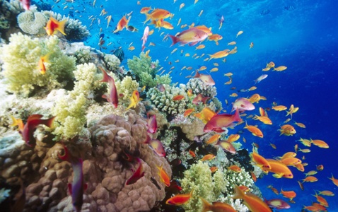 biodiversity