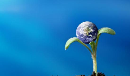environment-goods