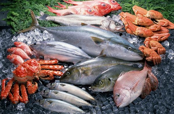 seafood-5