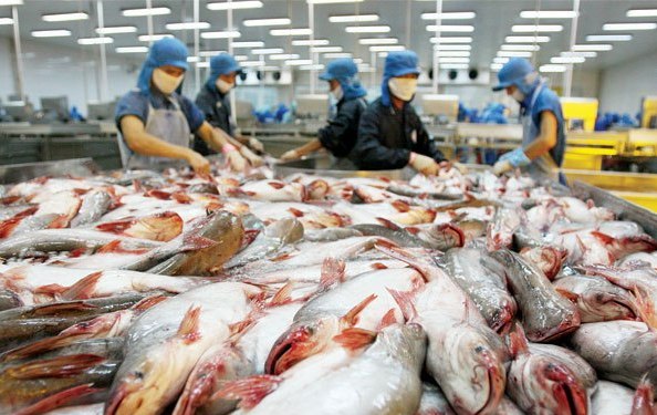 seafood-basa