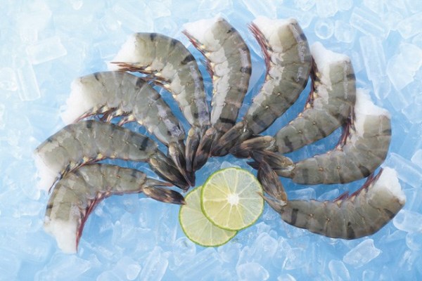 seafood-shrimp