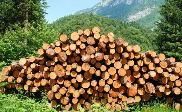 wood-furniture